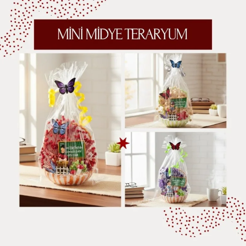 Mini Midye Teraryum - Öğretmenler Günü Hediyesi