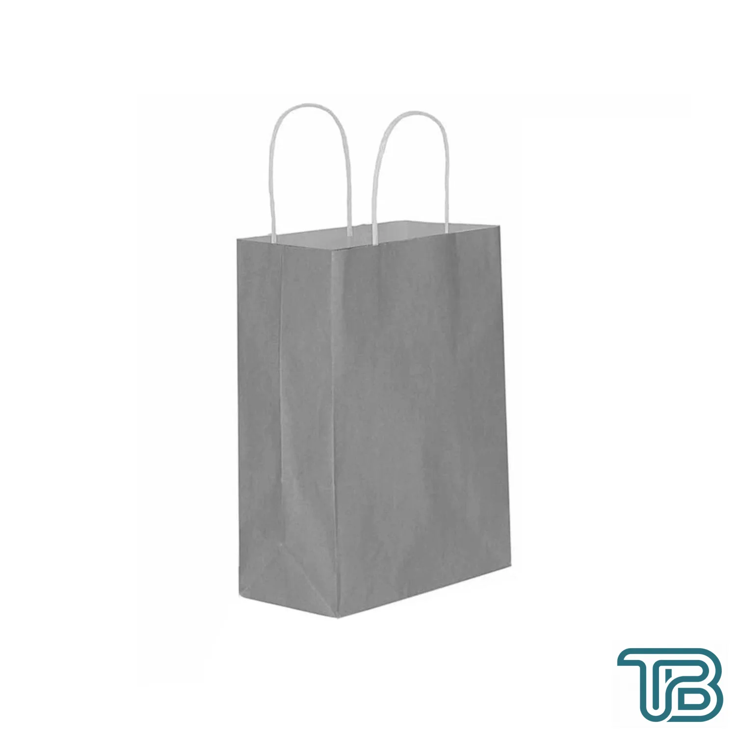 Kağıt Hediye Çantası Düz Renk Büyük Boy 25X31 CM (25 Adet) Gümüş - Eminönü ToptanS | Ticaretin Kalbinden