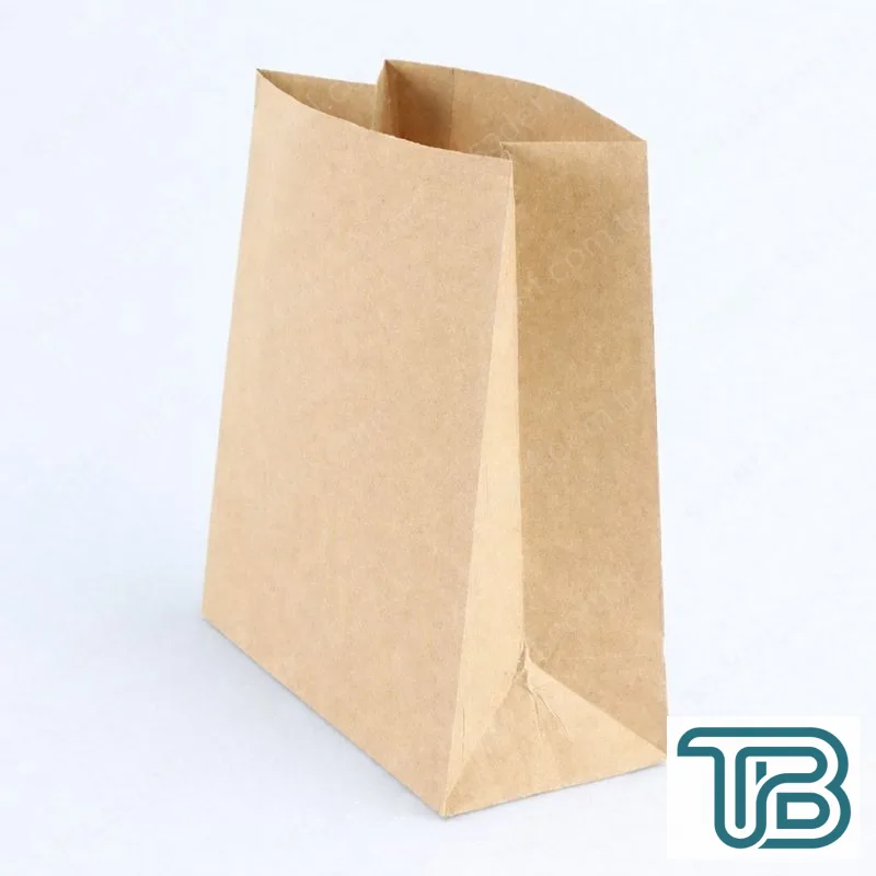 SAPSIZ KRAFT KAĞIT TORBA 22X28X11 CM 900 ADET